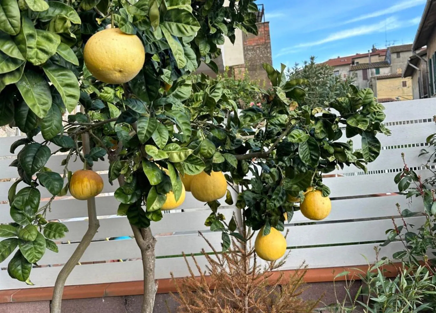 Casa Antica Maremma Toscana Ravi